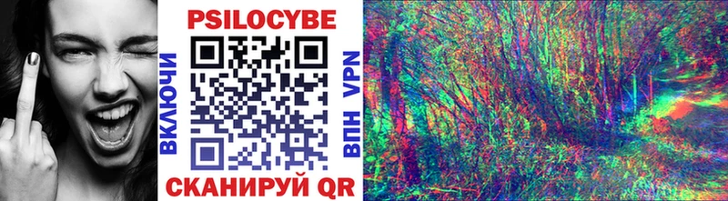 Купить  Еманжелинск  Псилоцибиновые грибы ЛСД 